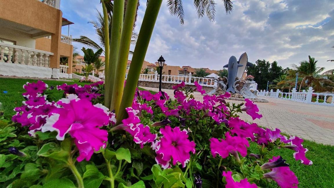 Dolphin Beach Resort Yanbu Dış mekan fotoğraf